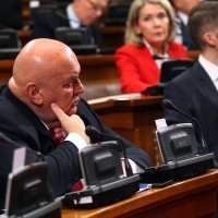 Dragan Marković Palma