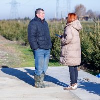 Antun Mihić, uzgajivač sadnica i božićnih drvaca