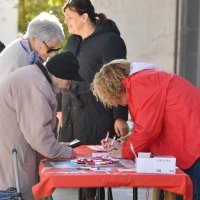 Zoran Milanović kampanja