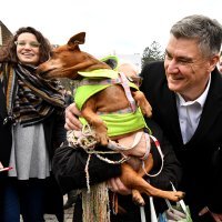 Zoran Milanović kampanja