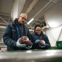 Enna Fruit - kontrola kvalitete