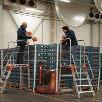 Enna Fruit - kontrola kvalitete