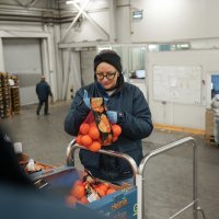 Enna Fruit - kontrola kvalitete