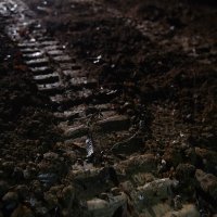 Dvije bebe zakopane u dvorištu u Općini Ljubešćica