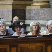 Švedska princeza Birgitta