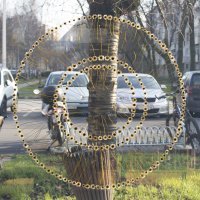 Flowerworks_Daisies_01