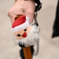 Prosvjed umirovljenika Protiv siromastva, korupcije i kriminala.