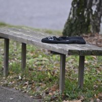 Hrvatski zavod za javno zdravstvo (HZJZ) objavio je smjernice za razgovor s djecom i očuvanje mentalnog zdravlja nakon tragedije u OŠ Prečko u ZagrebuFantomka na klupi