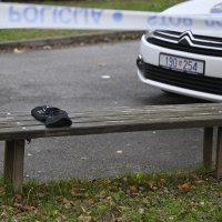 Hrvatski zavod za javno zdravstvo (HZJZ) objavio je smjernice za razgovor s djecom i očuvanje mentalnog zdravlja nakon tragedije u OŠ Prečko u ZagrebuFantomka na klupi