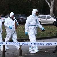 Forenzičari provode očevid u Prečkom nakon napada nožem