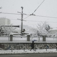 Snijeg u Sarajevu
