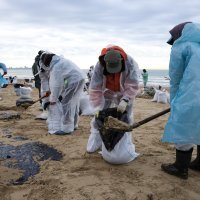 Čišćenje plaže u Anapi
