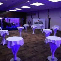 Izborni stožer predsjedničke kandidatkinje Branke Lozo u hotelu Aristos