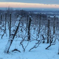 Snijeg u okolici Varaždina