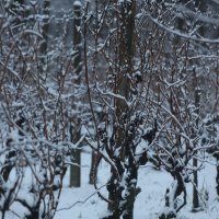 Snijeg u okolici Varaždina