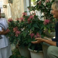 Dokumentarni film 'Naljepši vrtovi Dubrovika'