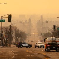 Ljudi obilaze zgarišta u četvrtima Los Angelesa