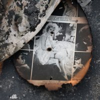 Ljudi obilaze zgarišta u četvrtima Los Angelesa