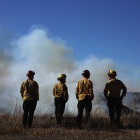 Požar u Los Angelesu