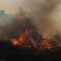 Požar u Los Angelesu