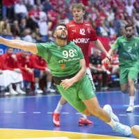 Danska - Alžir, rukomet SP, 14.1.2025.