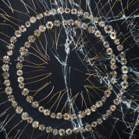 daisy chain series - broken innocence