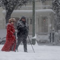 Snijeg u New Orleansu