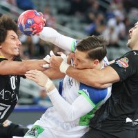 Slovenija - Egipat, rukomet, SP, 24.1.2025.