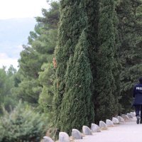 PXL_270125_127372259