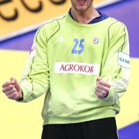 Mirko Alilović, Hrvatska, rukomet