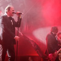 Damir Martinović - Mrle