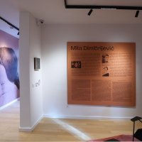 Vila Mile Dimitrijević