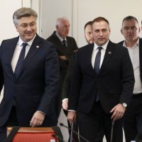 Predstavljanje Davida Vlajčića