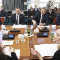 Predstavljanje Davida Vlajčića