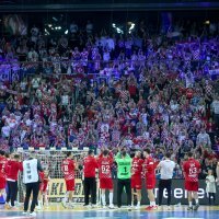 Hrvatska - Francuska, rukomet, polufinale SP, slavlje