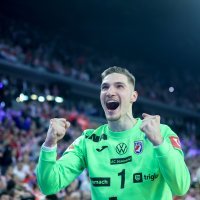 Hrvatska - Francuska, rukomet, polufinale SP, slavlje