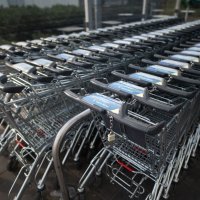 Opći bojkot u Zadru