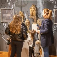 Noć muzeja u Dubrovniku