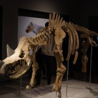 Noć muzeja u Prirodoslovnom muzeju Zagreb