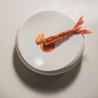 DOUBEK_Griesbacher-Tafner_Gericht_12_8