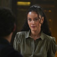 Serija 'Zlatni kavez'