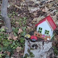 Samsung Galaxy S25 Ultra primjeri fotografija