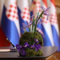 Cvjetni aranžmani od perunika na inauguraciji