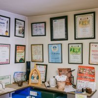 Opančar Krunoslav Paun