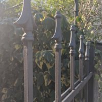 Redmi Note 14 Pro+ 5G