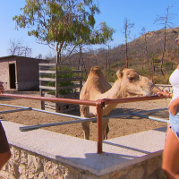 Gospodin Savršeni - Barbara i Miloš (3)