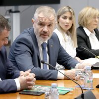 Skidanje imuniteta Barbari Antolić Vupori