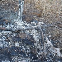 Mjesto kod Petrinje na kojemu je zapaljen automobil