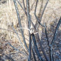 Mjesto kod Petrinje na kojemu je zapaljen automobil