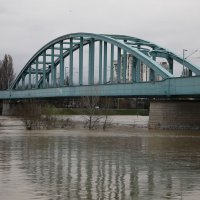 Visoki vodostaj Save